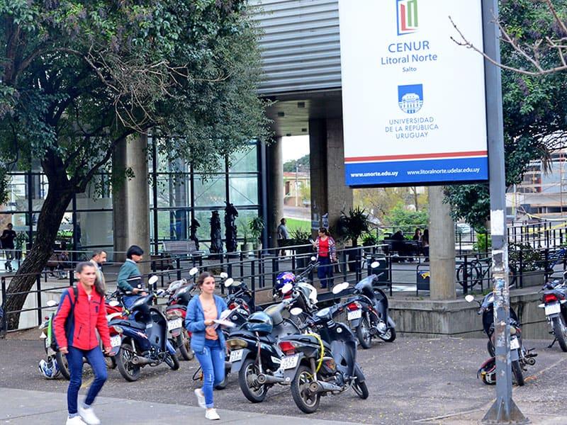 Ante falta de recursos, Udelar analiza continuidad de carreras de medicina y de contador público en el Interior