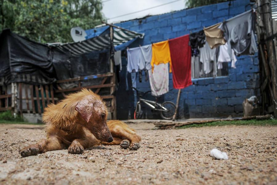 Viviendas afectadas por las recientes inundaciones en el barrio La Chacarita en Montevideo. Foto: Javier Calvelo/ adhocFOTOS