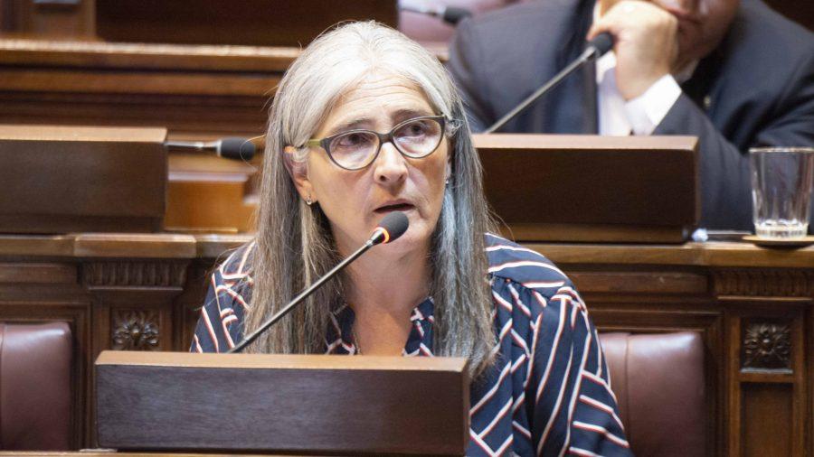 Aumentó déficit fiscal en porcentaje mayor al que había en 2019 y hay incertidumbre con obras, cuestionó diputada Etcheverry