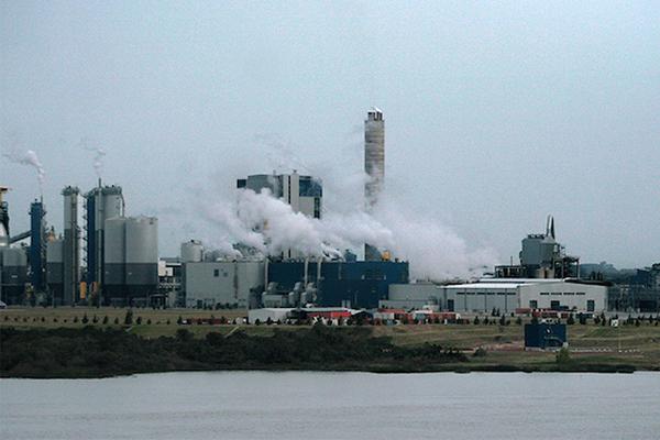 Nuevo derrame en planta de UPM: empresa asegura que no hubo daños al ambiente