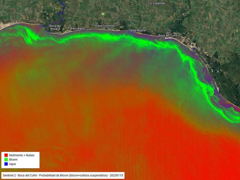 Floraciones en Arazatí el 15 de enero de 2023. Imagen satelital del Observatorio Ambiental Nacional del Ministerio de Ambiente. Foto: tomada de La Diaria.