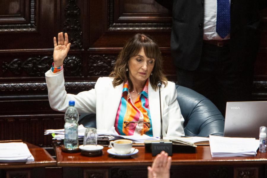 Carmen Asiain durante la votacion del proyecto de ley de corresponsabilidad de la crianza en la Camara de Senadores del Palacio Legislativo. Foto: Mauricio Zina/ adhocFOTOS