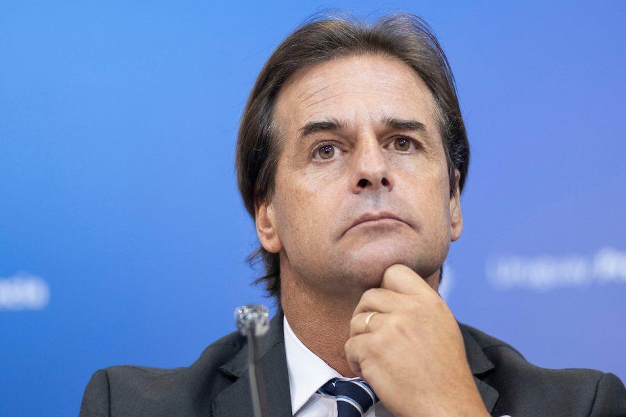 El gobierno retira del ámbito de la OEA a experta en género que cuestiona proyecto de Lacalle Pou