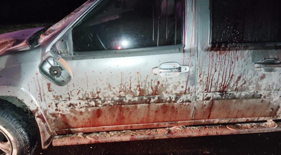 Estampida en la previa del Encuentro del Patriarca: caballos muertos, personas lesionadas y vehículos dañados