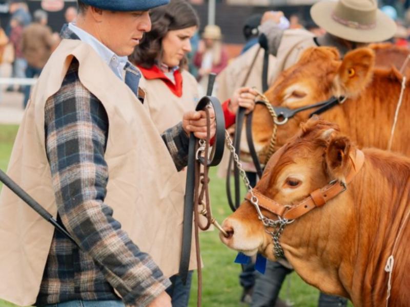 Expo Prado 2023. Foto: web de la Rural del Prado.