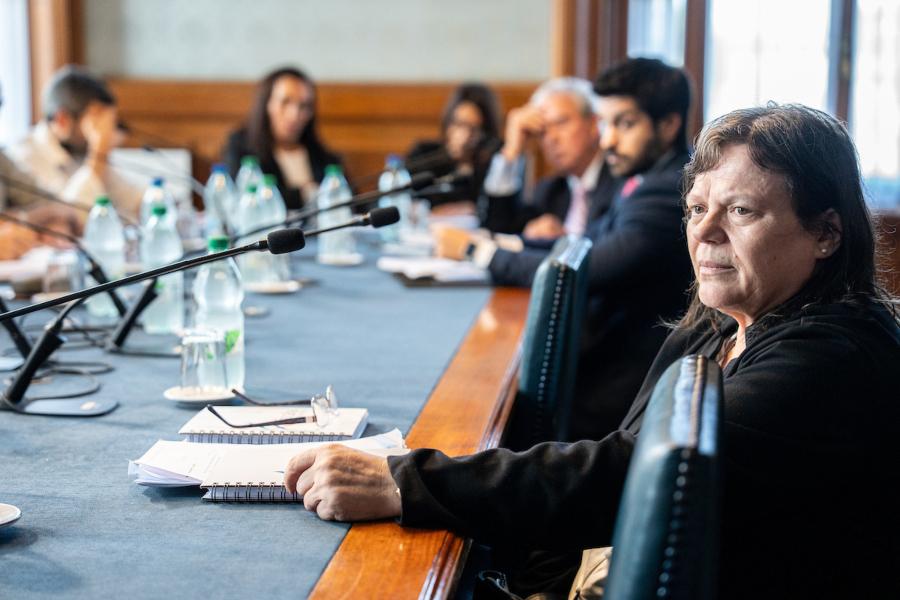 Monica Ferrero durante la sesión de la comisión de Asuntos Administrativos en la sala Martin C. Martínez del Palacio Legislativo en Montevideo. Foto: Mauricio Zina / adhocFOTOS