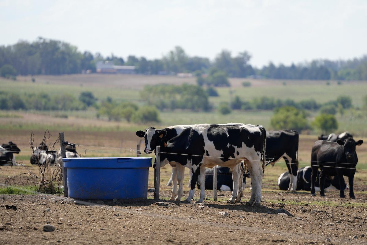 Gremiales lecheras respaldaron la compra de tierras por parte del Instituto Nacional de Colonización