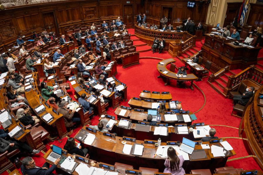 Sesión para discutir el proyecto de ley de la Caja de Profesionales en la Cámara de Diputados del Palacio Legislativo en Montevideo. Foto: Mauricio Zina / adhocFOTOS