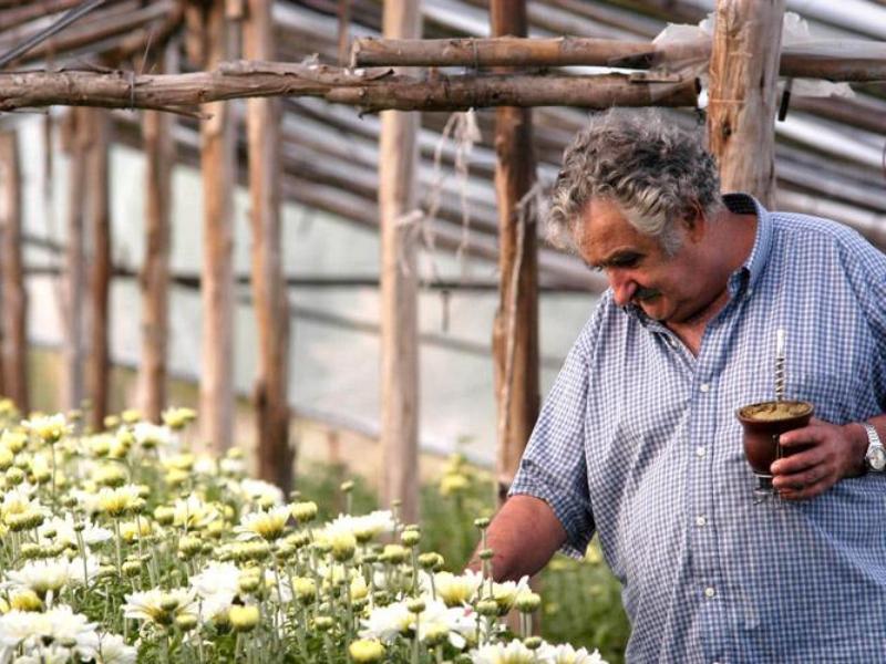 Gerardo Caetano: "Mujica vivió como él quería, completó una vida ejemplar"