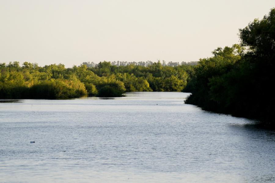 Río Santa Lucía en el margen de la ciudad de Santa Lucía, Canelones. Foto: Javier Calvelo / adhocFOTOS
