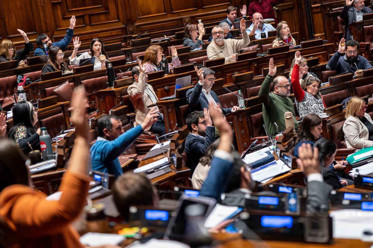 Diputados aplazan la votación del proyecto de ley de eutanasia tras pedido de Bordaberry y se votará en agosto