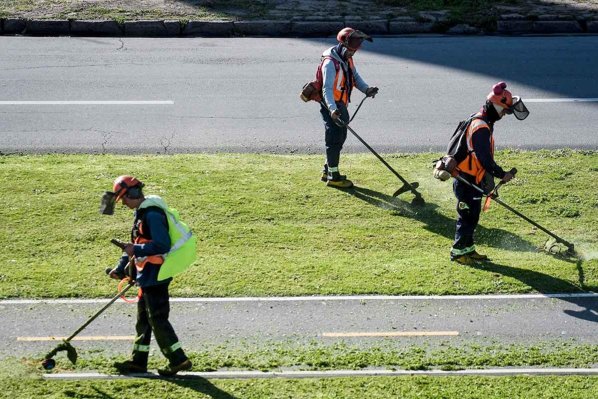 Uruguay Impulsa: 5.500 cupos para trabajo temporal y capacitación en todo el país