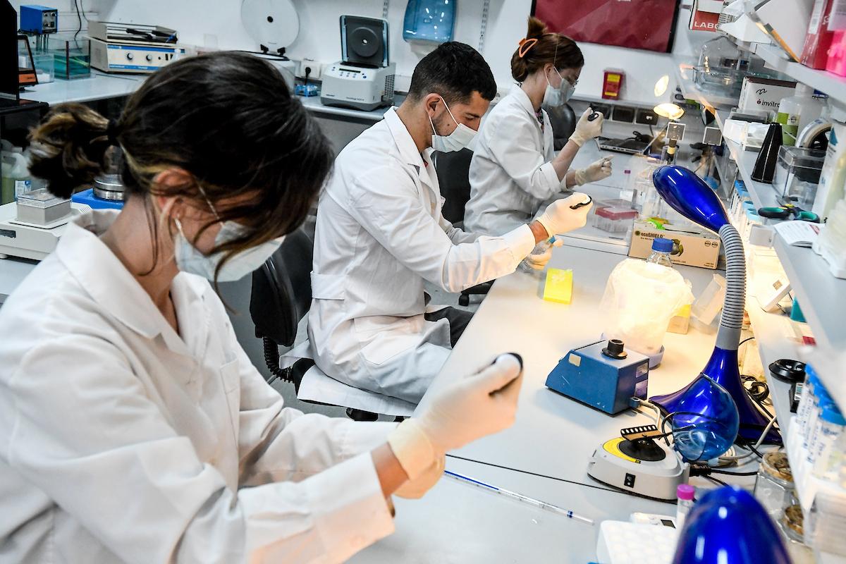 Investigadores en laboratorio del Instituto Pasteur de Montevideo. Foto: Javier Calvelo / adhocFOTOS